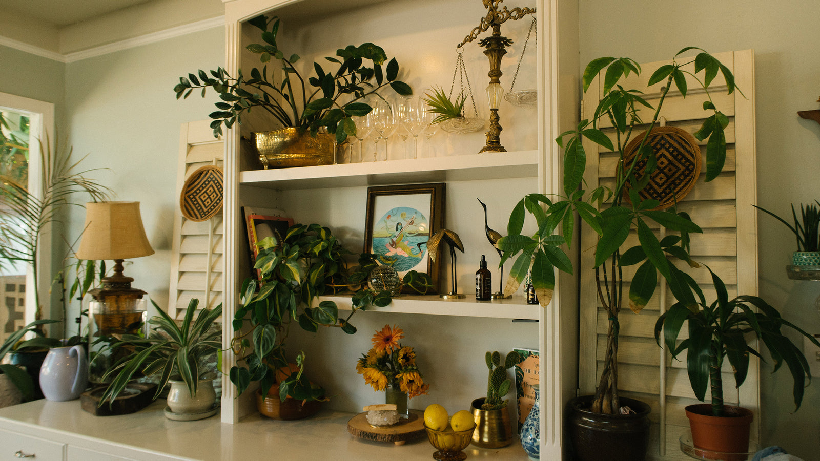 TOP 10 FLOWERS & PLANTS YOU CAN GROW AT HOME_bliss-boxes