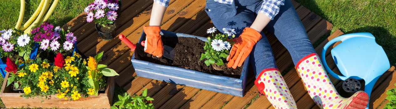 Shop For Christmas Now!_christmas