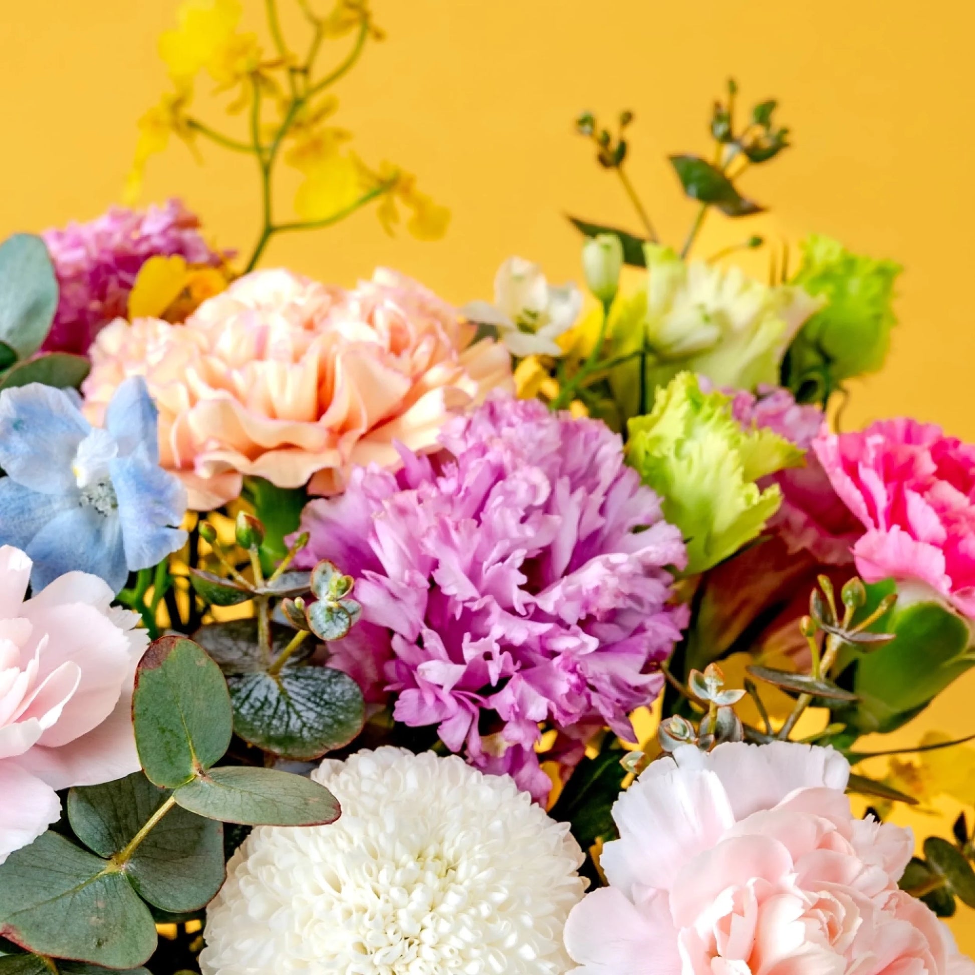 flowerchimp-bundle-south-hex-box-lindor-200g-bundle-2500x2500-03