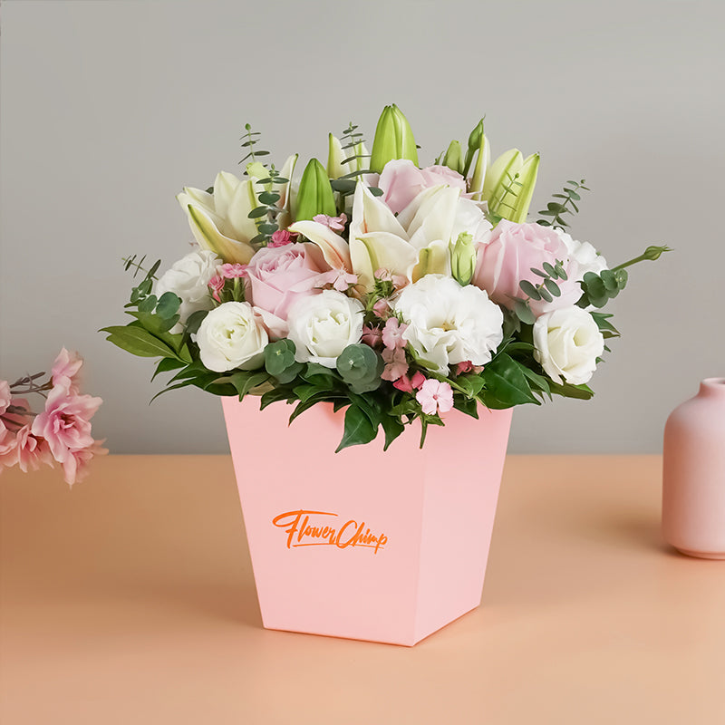 CELEBRATION BUNDLES - CACTUS, SUN & PALE PINK