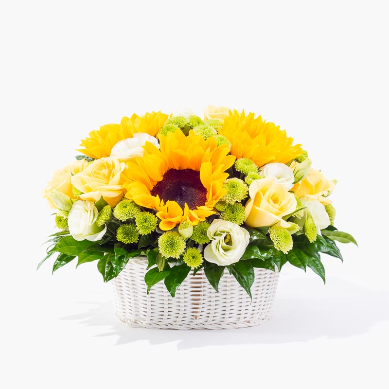 Flower Boxes & Baskets HK