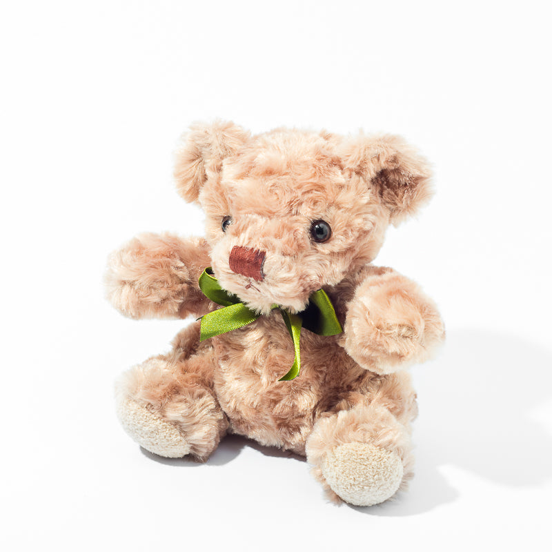 medium teddy bear