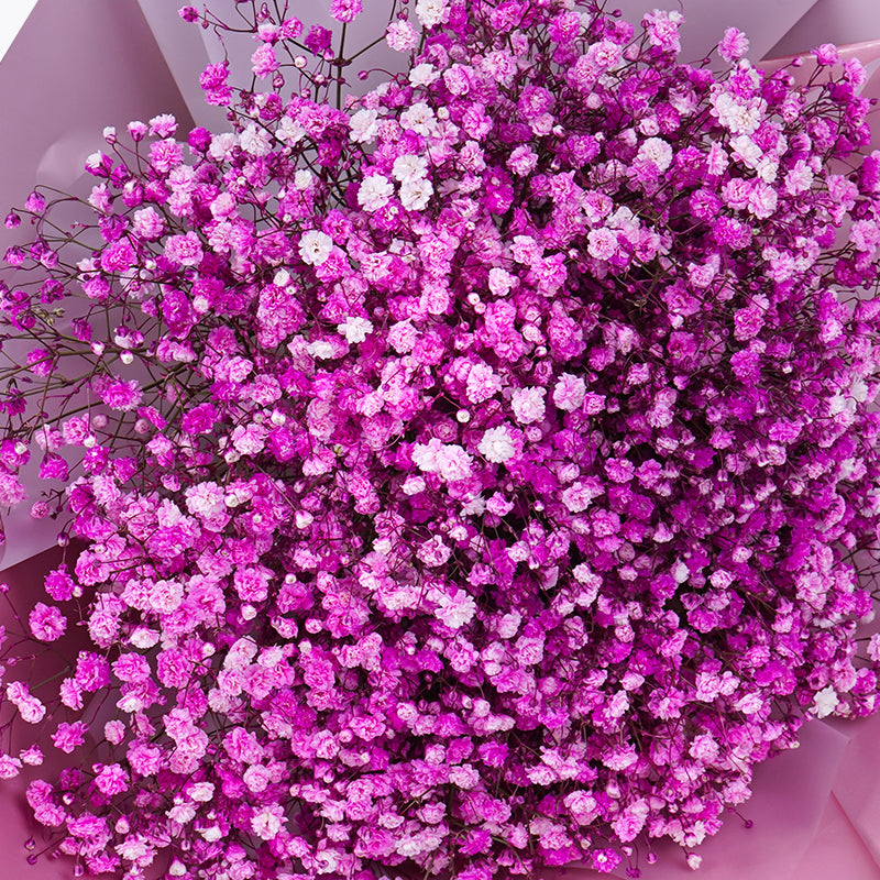 Luxe Pink