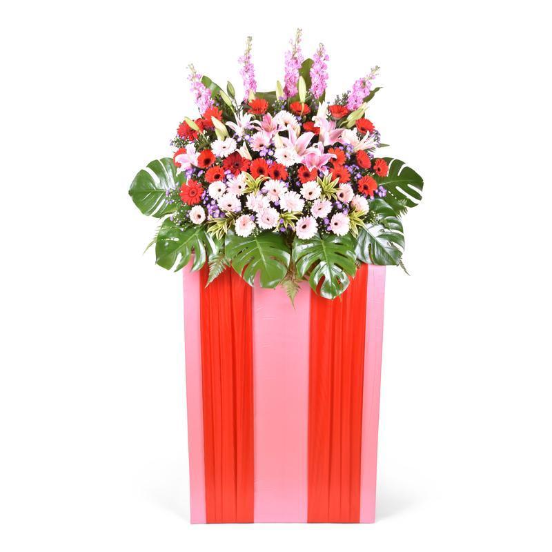 flower_stand_opening Spring Glory